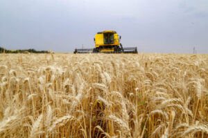 Leia mais sobre o artigo Previsão de safra de grãos é 310,6 milhões de toneladas, diz Conab