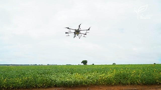 Você está visualizando atualmente Produtores em Mato Grosso aderem ao uso de drones