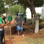 SENAR-MT abre vagas para curso gratuito de Jardinagem