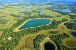Leia mais sobre o artigo Pantanal é eleito um dos melhores lugares do mundo para viajar