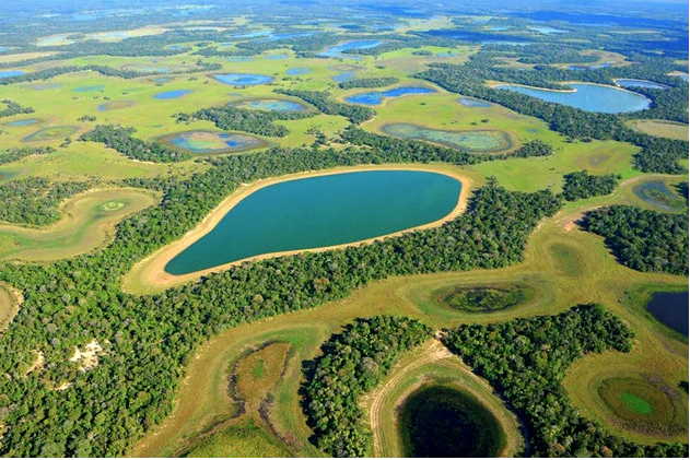 No momento, você está visualizando Pantanal é eleito um dos melhores lugares do mundo para viajar