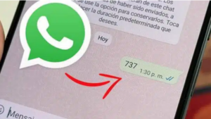 Leia mais sobre o artigo Por que os jovens de fora usam o número “737” no WhatsApp?