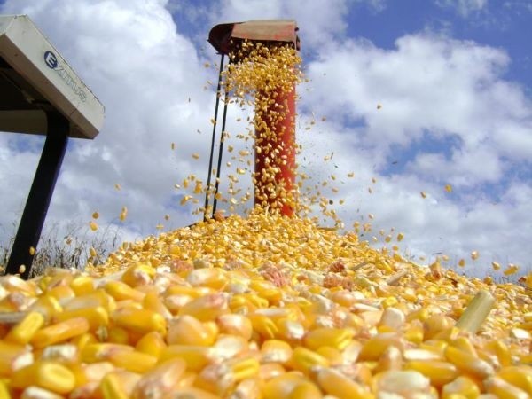 Você está visualizando atualmente Ações de governo federal transformaram o agronegócio em Rondonópolis