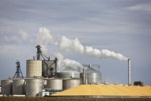 Leia mais sobre o artigo MT vai produzir quase 70% do etanol de milho do país