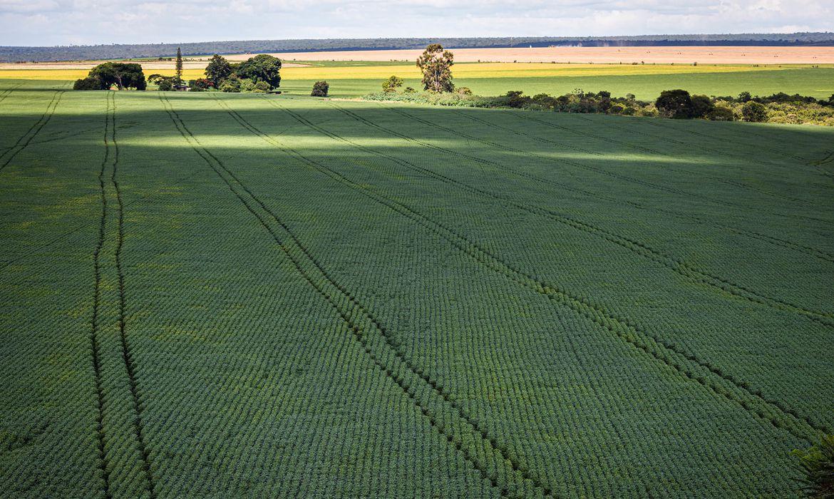 No momento, você está visualizando Soja impulsiona em 20,6% a produção de grãos na safra 2022/23