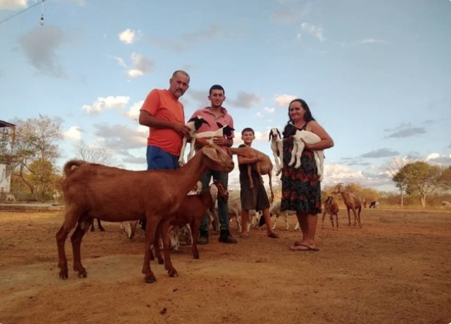 No momento, você está visualizando Transição agroecológica beneficia economicamente os agricultores