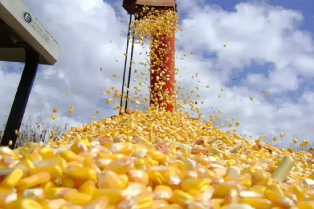 No momento, você está visualizando Comercialização da produção agrícola de MT tem avanço em março