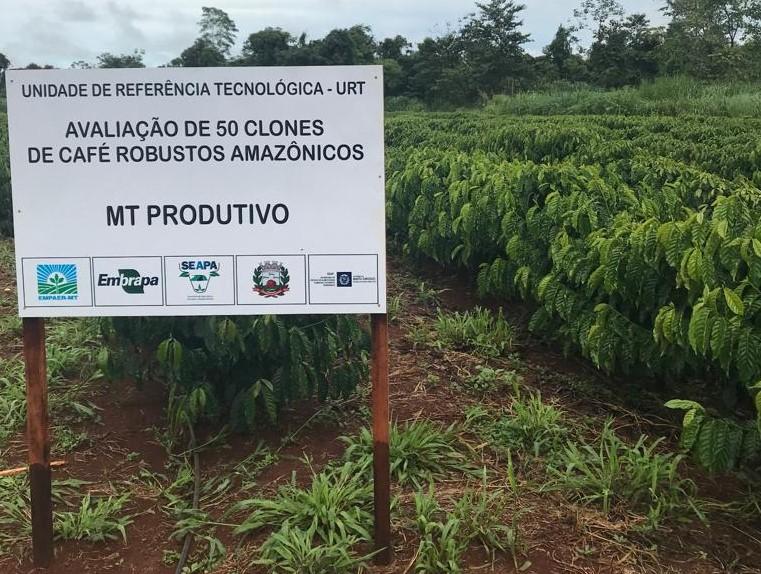 Você está visualizando atualmente Empaer e parceiros promovem Dia de Campo para divulgar café Amazônico