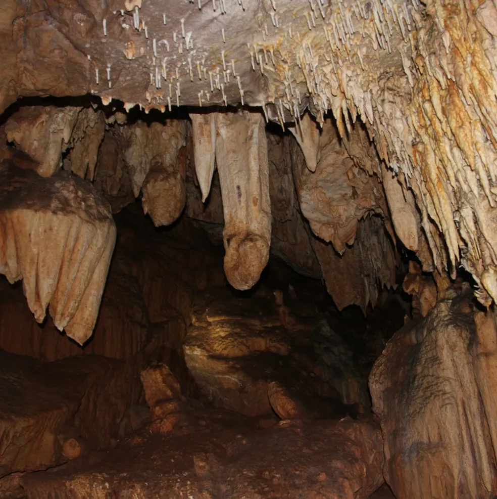 No momento, você está visualizando Maior caverna de MT é aberta para visitação pela 1ª vez