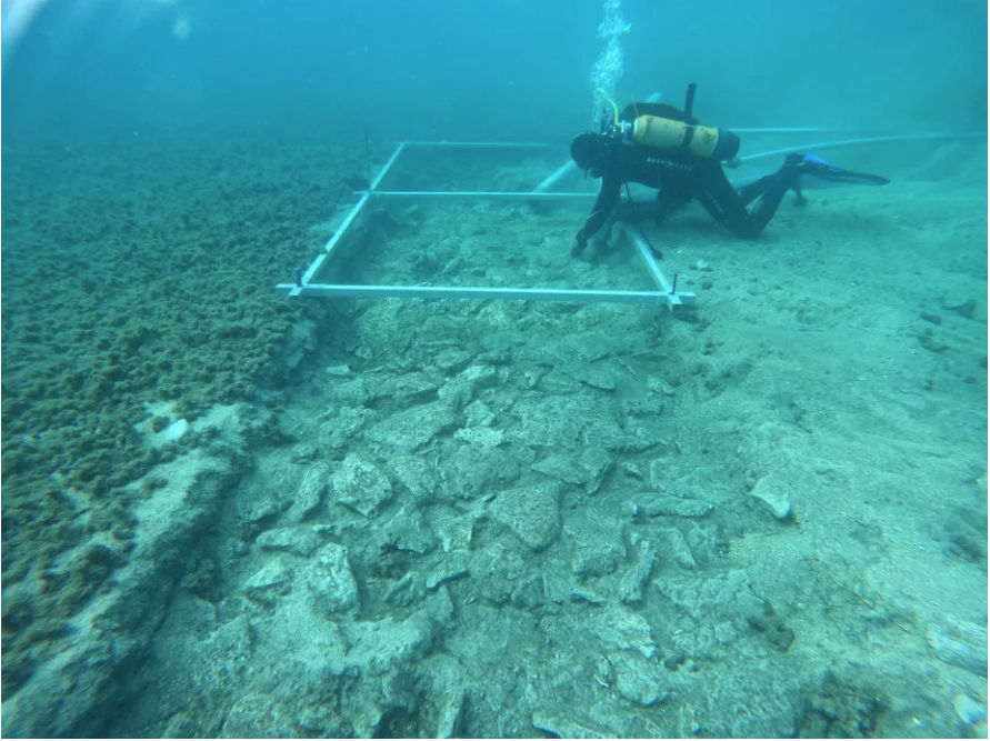 No momento, você está visualizando Arqueólogos encontram estrada de 7 mil anos no fundo do mar