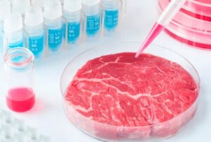 Leia mais sobre o artigo Carne criada em laboratório é liberada para consumo