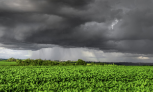 Leia mais sobre o artigo Chuva artificial para combater a seca é aposta nos EUA