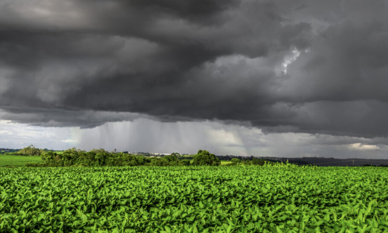 Você está visualizando atualmente Chuva artificial para combater a seca é aposta nos EUA