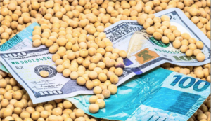 Leia mais sobre o artigo Custos de produção da soja e do milho foi o maior em 10 anos