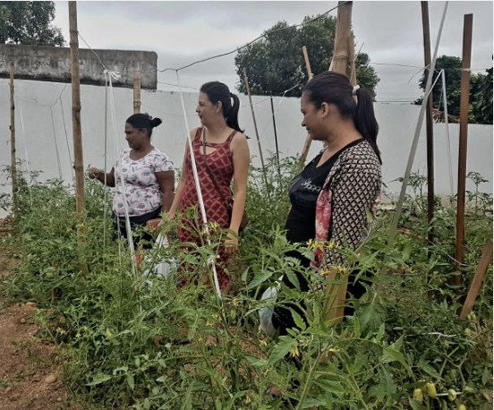 Você está visualizando atualmente Hortas orgânicas do bairro Santa Maria beneficiam Várzea Grande