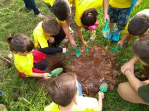 Leia mais sobre o artigo SEMANA DO MEIO AMBIENTE: Teatro, palestras, plantio de árvores 