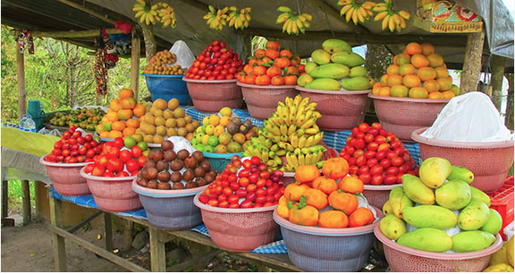 Você está visualizando atualmente Conheça fruta popular que previne a flacidez e aumenta a imunidade