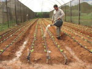 Leia mais sobre o artigo Biofertilizante reforça time de tecnologias da Embrapa na Hortitec