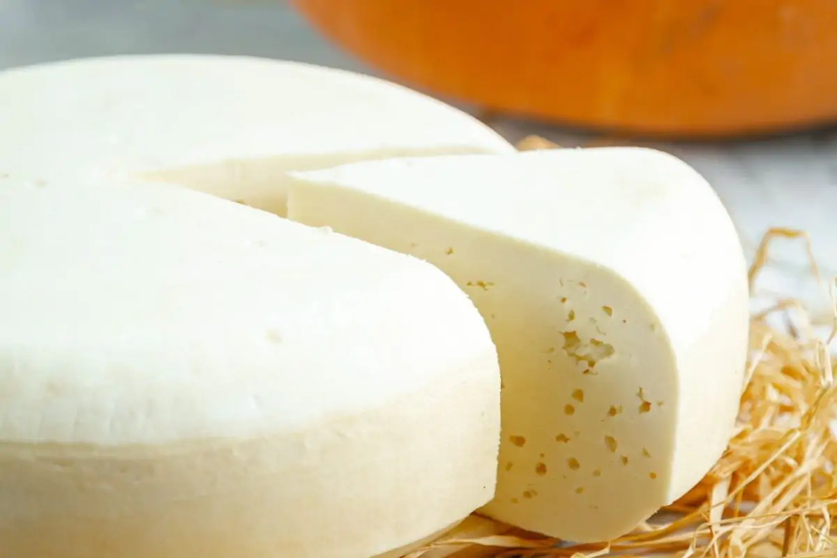 Você está visualizando atualmente Expoagro terá oficinas gratuitas de produção de queijo