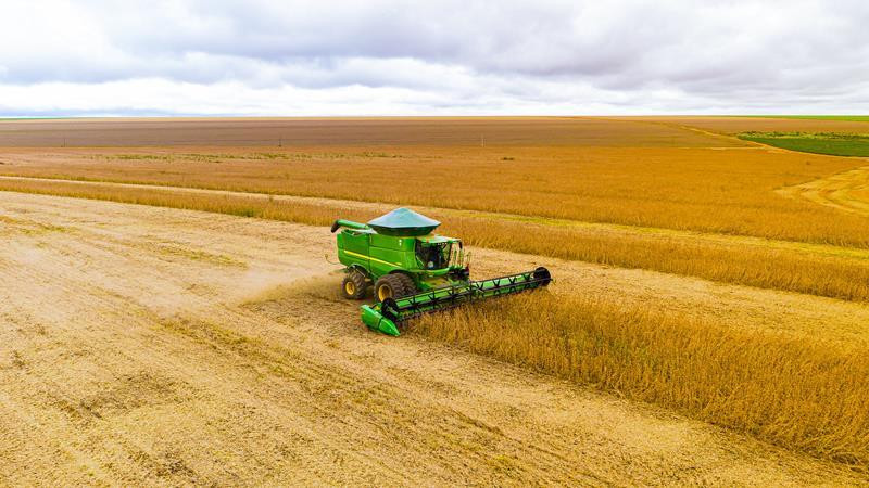 No momento, você está visualizando INDEA: vazio sanitário da soja inicia em  Mato Grosso