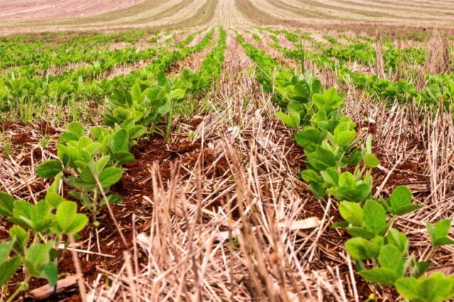 Você está visualizando atualmente SUPER EL NINO: Brasil deve ser um dos mais atingidos