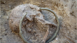 Leia mais sobre o artigo Desenterram na França dezenas de braceletes da Idade do Bronze