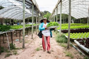 Leia mais sobre o artigo Prefeitura reforça agricultores à aderirem ao Programa Agro da Gente