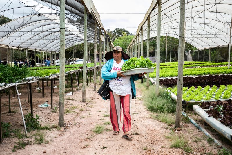 Você está visualizando atualmente Prefeitura reforça agricultores à aderirem ao Programa Agro da Gente