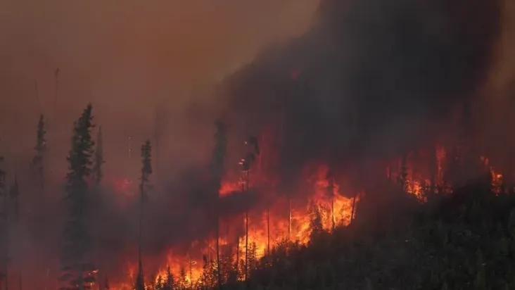 No momento, você está visualizando Incêndios deixam um rastro de destruição na Grécia