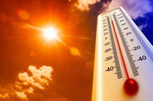 Leia mais sobre o artigo Ondas de calor podem ter matado mais de 61 mil europeus