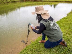 Leia mais sobre o artigo Sistema Famasul alerta produtores para evitar prejuízos no campo