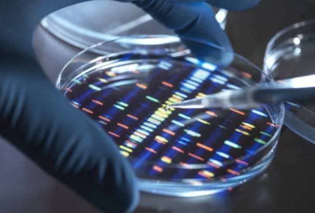 Você está visualizando atualmente Cientistas conseguem sequenciar o cromossomo Y pela 1a. vez