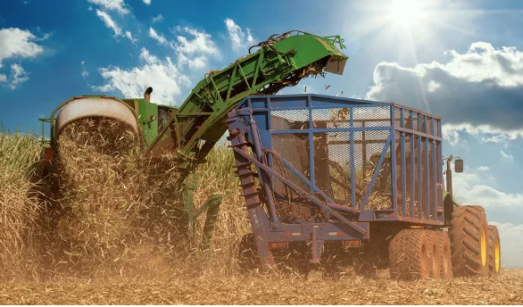 No momento, você está visualizando Com avanço industrial produção de biomassa deve crescer em MT 