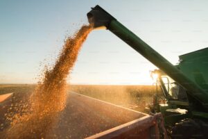 Leia mais sobre o artigo Centro-Oeste desbanca safra de milho da União Europeia