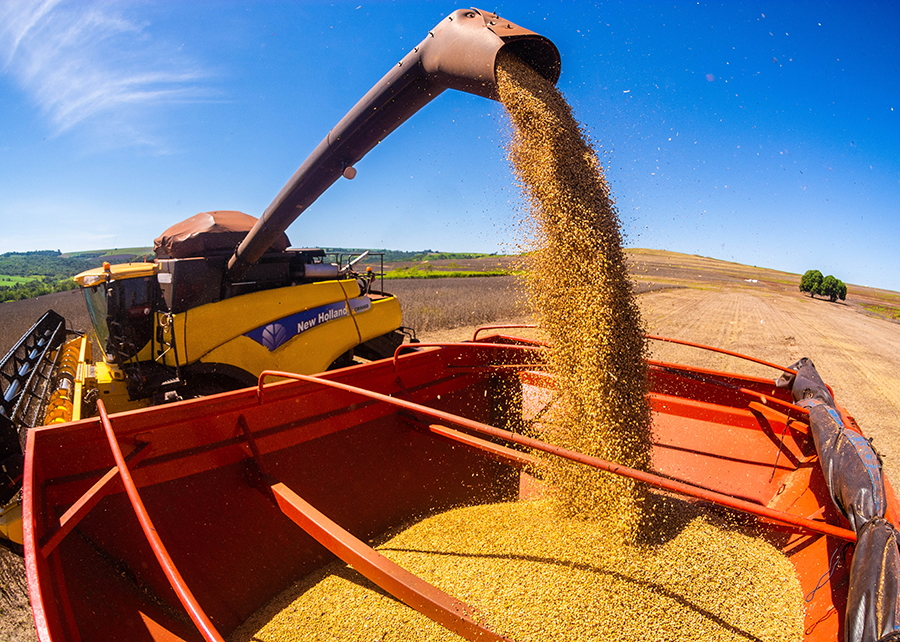 No momento, você está visualizando Cidade do agro exporta mais que Estados