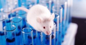 Leia mais sobre o artigo Como microrrobôs conseguiram curar pneumonia em ratos