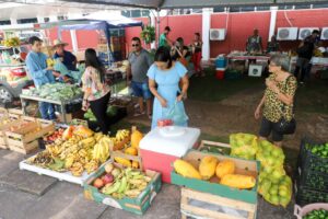 Leia mais sobre o artigo Feira de Agricultura Familiar em Várzea Grande traz novidades