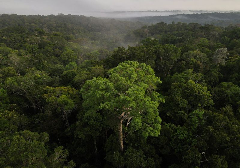 Você está visualizando atualmente Entenda as condições para os financiamentos pelo Fundo Clima