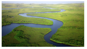 Leia mais sobre o artigo ALMT debate projetos para o BID Pantanal