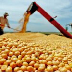 Puxado pelo agronegócio, Brasil terá superávit recorde em 2023