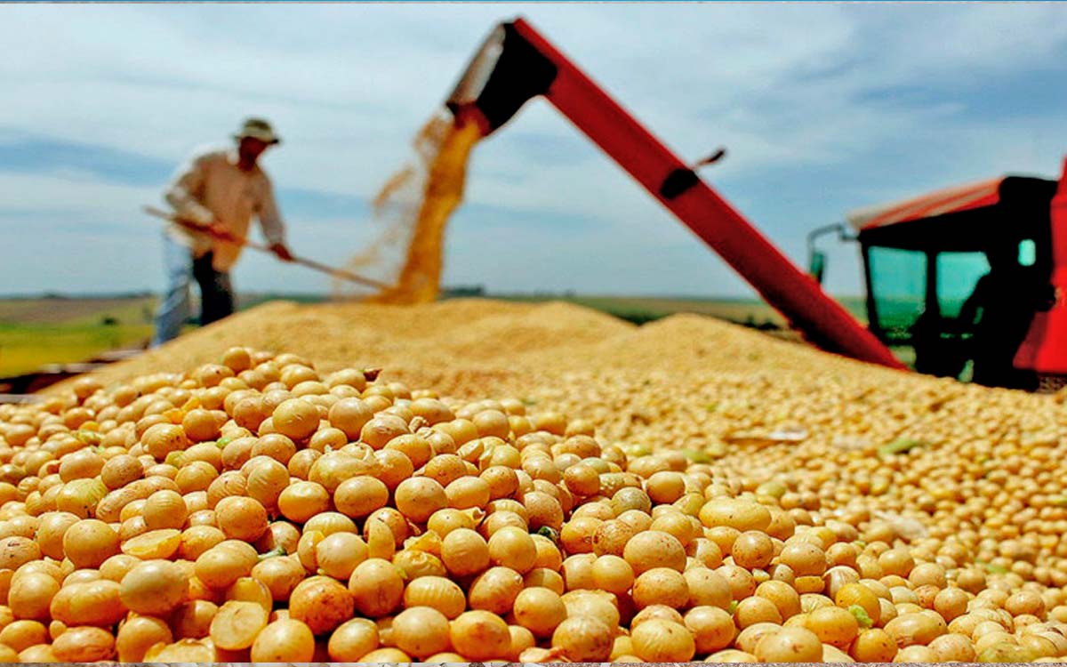 No momento, você está visualizando Puxado pelo agronegócio, Brasil terá superávit recorde em 2023