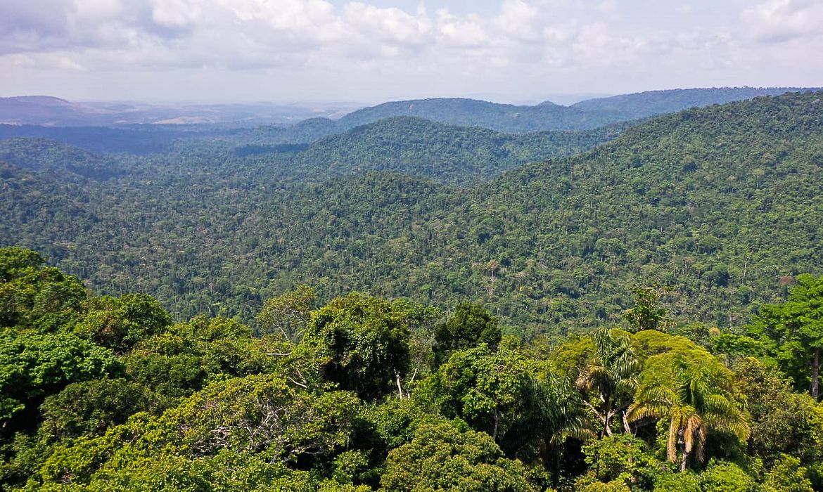 No momento, você está visualizando Amazônia é um dos focos da ONU para a Agenda 2030