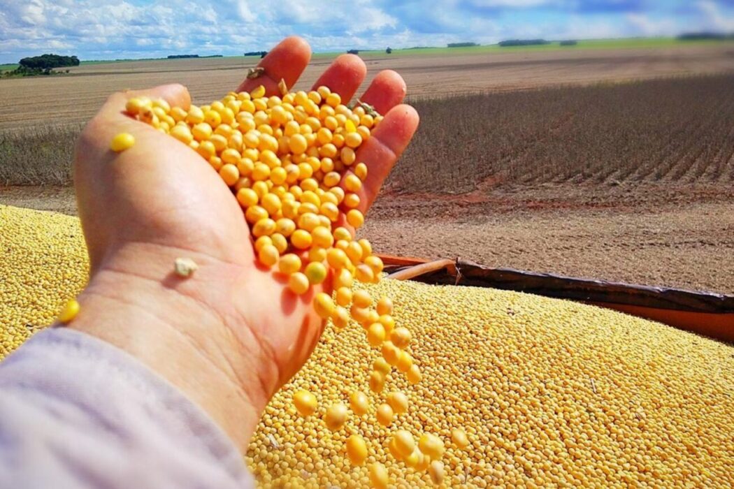 No momento, você está visualizando Cidades de Mato Grosso lideram o novo ranking de produção agrícola nacional