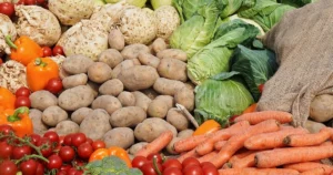 Leia mais sobre o artigo Comer vegetais protege contra infecção pulmonar, revela pesquisa