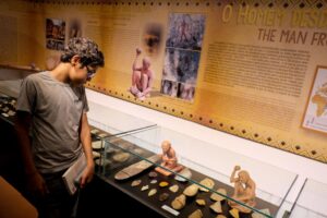 Leia mais sobre o artigo Museu de História Natural oferece oficinas inclusivas; confira programação