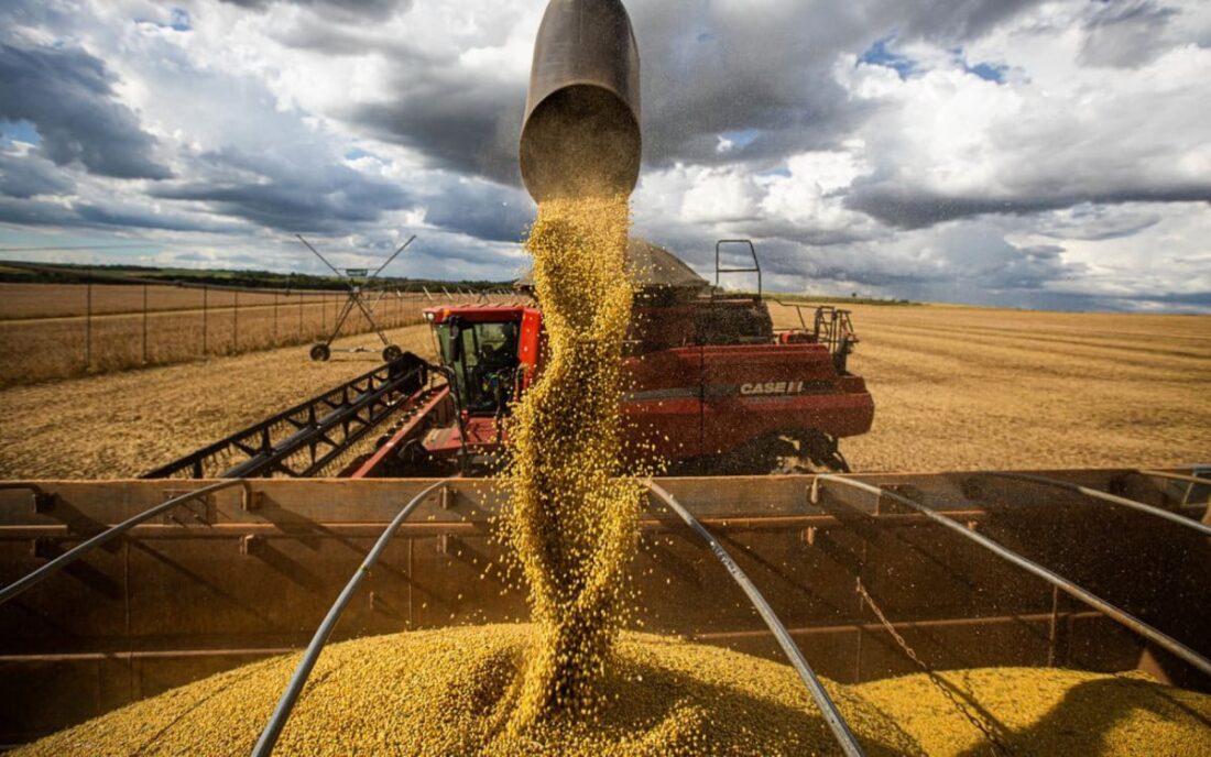 No momento, você está visualizando Brasil se consolida como o maior exportador agrícola do mundo