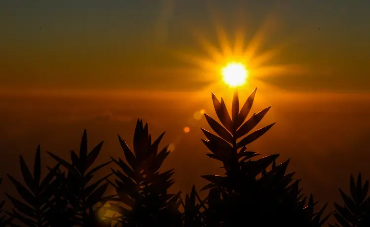 Você está visualizando atualmente Quão perigoso é o calor extremo para os humanos?