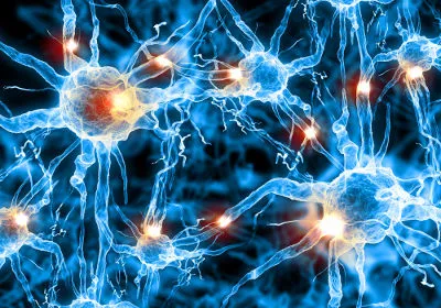 Você está visualizando atualmente Cientistas imprimem pela 1ª vez neurônios em 3D para tratar lesões cerebrais