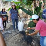 Empaer ensina produtores familiares a fazerem adubos orgânicos e reduzirem custo da produção