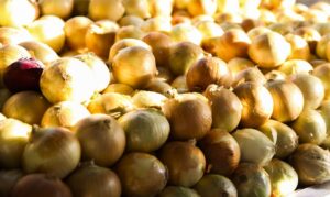 Leia mais sobre o artigo CONAB: Preço das hortaliças cai nos principais mercados atacadistas